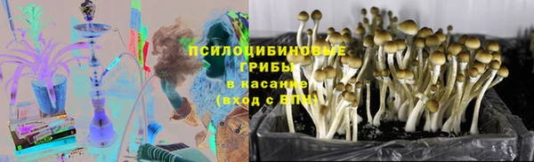 мдпв Алексеевка