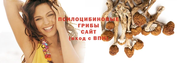 дживик Алзамай