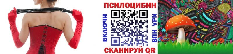 МЕГА ССЫЛКА  Мензелинск  Псилоцибиновые грибы MAGIC MUSHROOMS  цены  